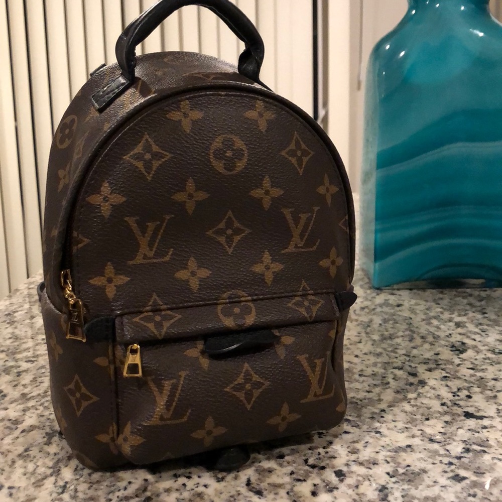 Louis Vuitton Palm Springs Mini